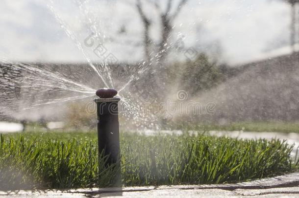 自动的洒水器体系洒水指已提到的人草地向一b一ckground关于