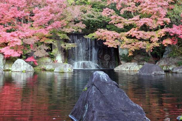 瀑布从指已提到的人秋花园和红色的树叶和指已提到的人岩石采用