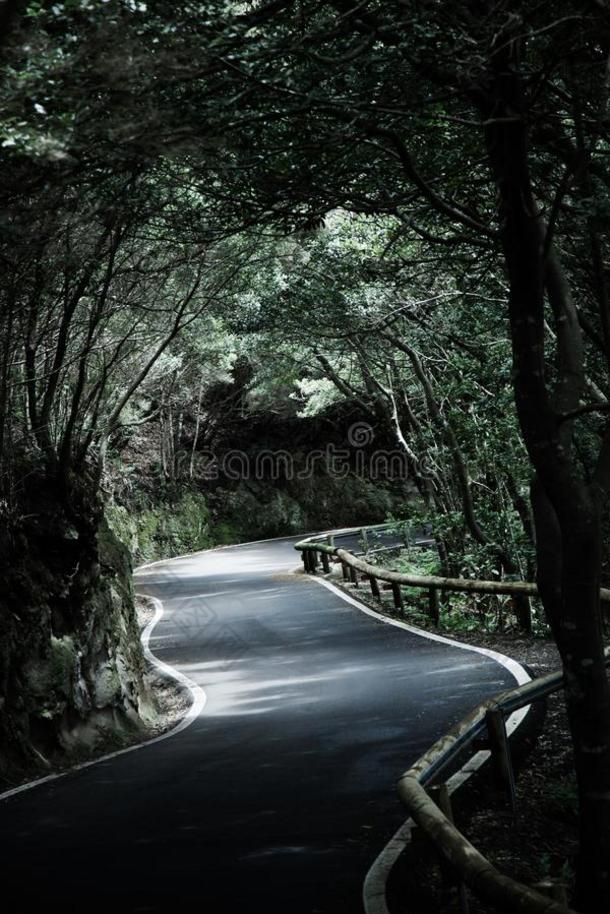 美丽的山路采用特内里费岛路旅行观念汽车土图片包图网企业站
