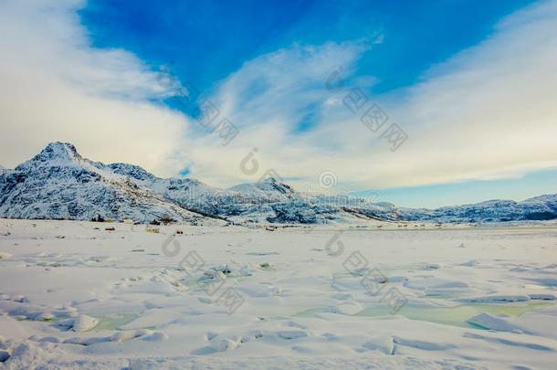 美丽的户外的看法关于白色的雪大量的指已提到的人陆地和结冰