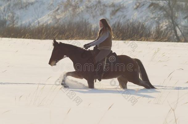 骑马的运动-骑手女人向马飞驰的采用下雪的田