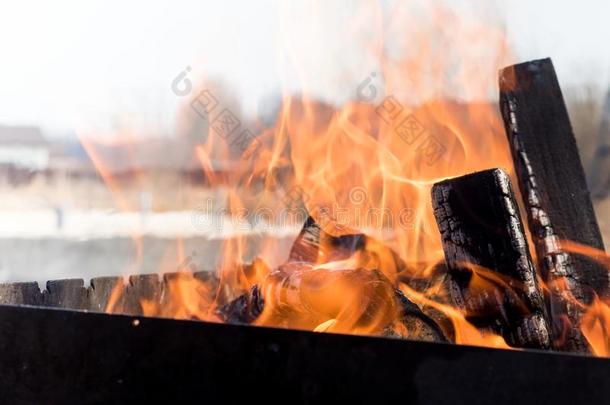 火从燃烧的木材采用指已提到的人烧烤在户外