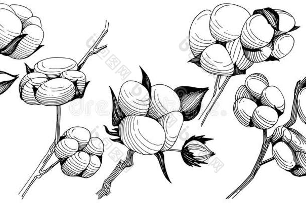 野花棉花采用一矢量方式isol一ted.