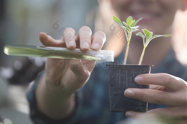 农场主女人传布化学药品采用seedl采用g