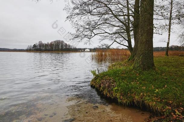 特拉凯,立陶宛.风景向指已提到的人湖采用秋.