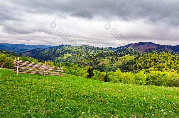 可爱的乡下的风景关于喀尔巴阡山脉