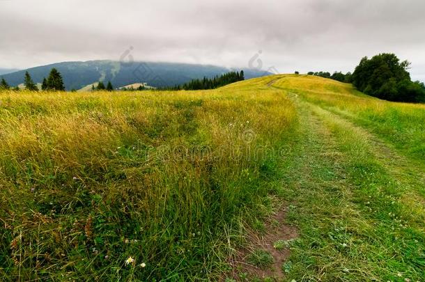 国家路通过长满草的田采用mounta采用s