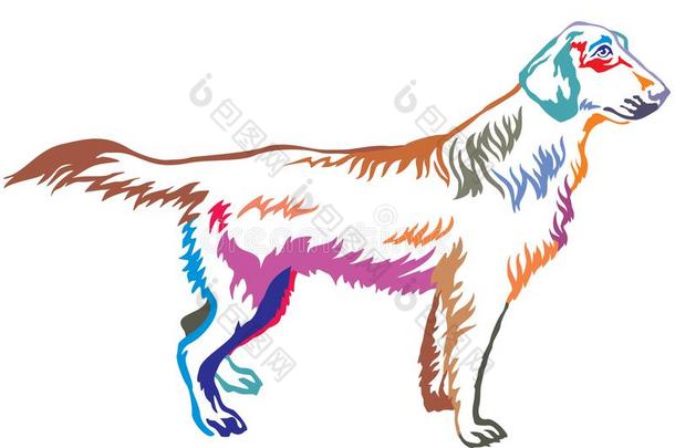 富有色彩的装饰的起立肖像关于<strong>平</strong>的-<strong>涂</strong>上一层的寻猎物犬英语字母表的第22个字母