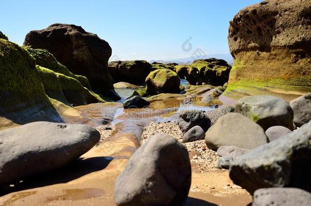多岩石的海岸在低的潮汐