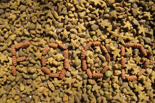 单词食物斑点使关于干的干燥的猫狗食物.干的干燥的宠物食物质地Philippines菲律宾