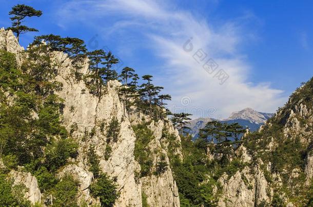 石灰岩山峡保护地区采用罗马尼亚