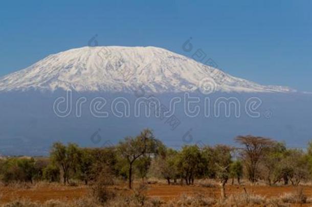 乞力马扎罗山指已提到的人最高的山采用非洲从安博塞利国家a