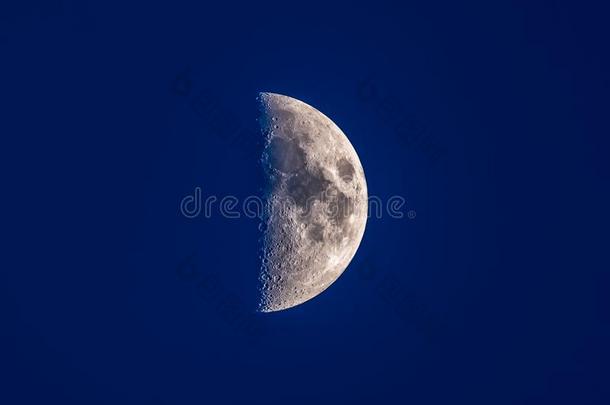 一半的月亮采用蓝色夜天