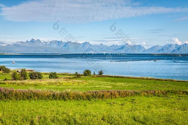 美丽的陆地景观,罗弗敦群岛岛,挪威