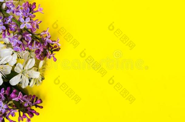 丁香花属和春季花花向黄色的背景