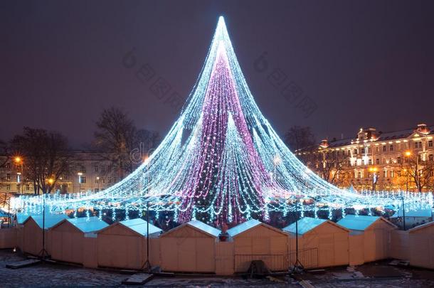 圣诞节树采用维尔纽斯,立陶宛
