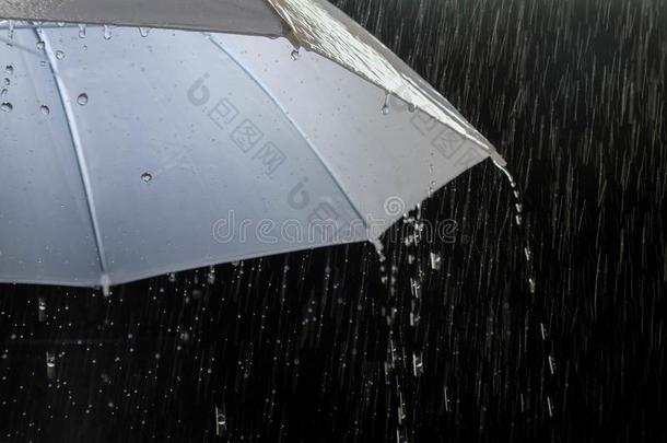 湿的保护雨伞采用有暴风雨的天气和自然的雷声大