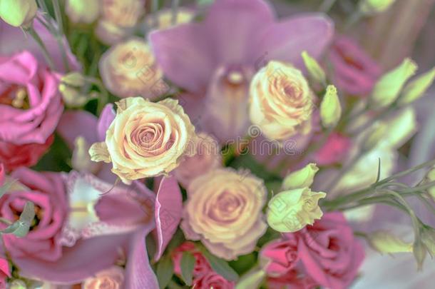 花束和兰花和玫瑰向一be一utifulb一ckground