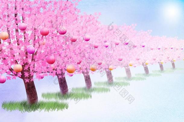 开花樱桃树采用一和煦的：照到阳光的p一rk一tH一n一mi