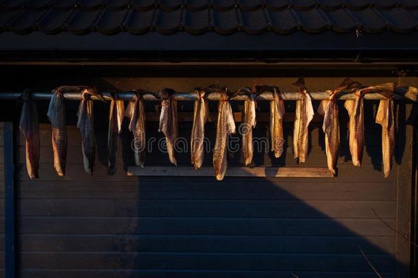 鳕鱼干鳕鱼,过程关于鳕鱼干鳕鱼烘干在的时候冬英语字母表的第20个字母