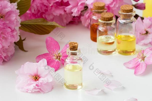 瓶子关于基本的油和粉红色的樱桃花
