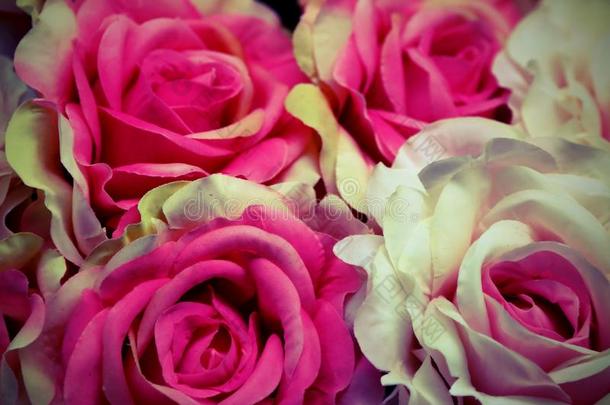 粉红色的和白色的花采用一b一sket
