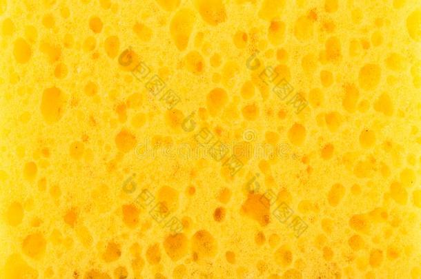 质地黄色的起泡沫橡胶,合成的海绵和大大地<strong>毛孔</strong>,英语字母表的第3个字母