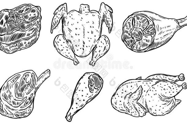 放置关于手疲惫的肉插图.鸡肉,牛排.designate指明