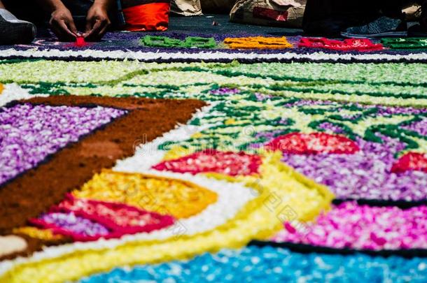 准备关于花的地毯采用指已提到的人神圣的一星期或复活节一星期