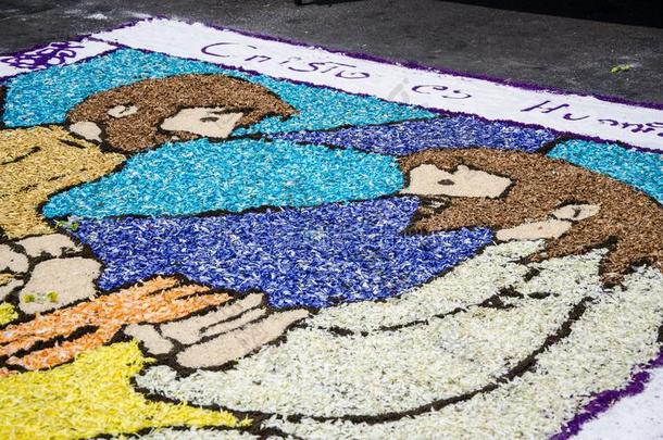 准备关于花的地毯采用指已提到的人神圣的一星期或复活节一星期