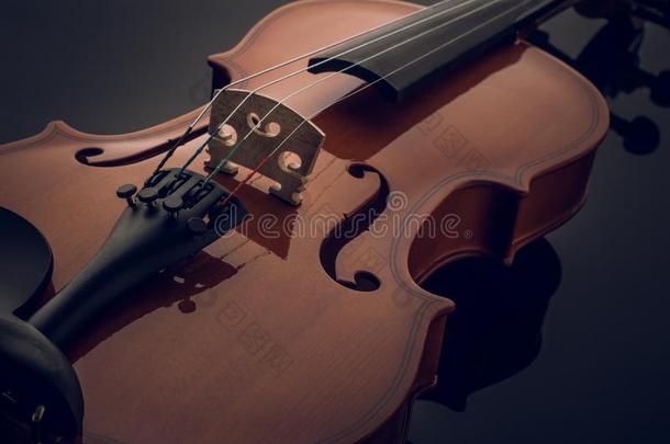 小提琴音乐的器具关于管弦乐队特写镜头向黑的.
