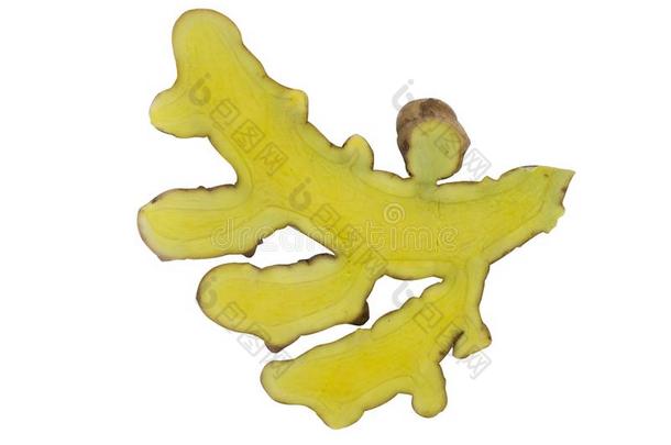 十字架部分姜黄属植物假单胞菌或黑的姜黄或蓝色金吉