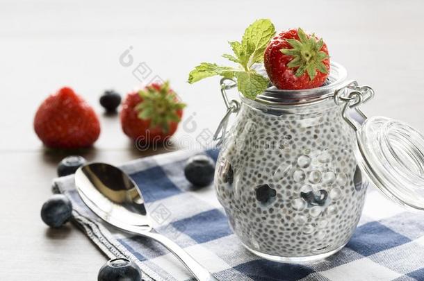 芡欧鼠尾草种子甜食和浆果