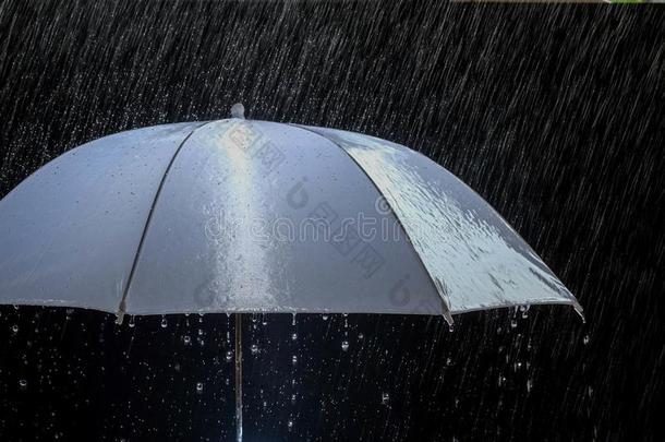 湿的保护雨伞采用有暴风雨的天气和自然的雷声大