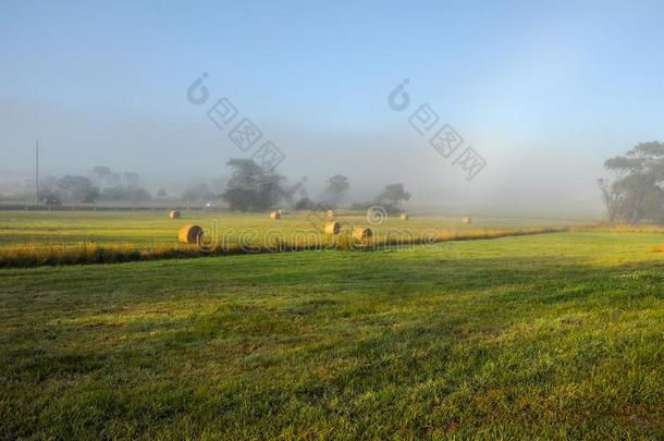 瓦尔南波尔.澳大利亚人和平的海岸.多雾的早晨.