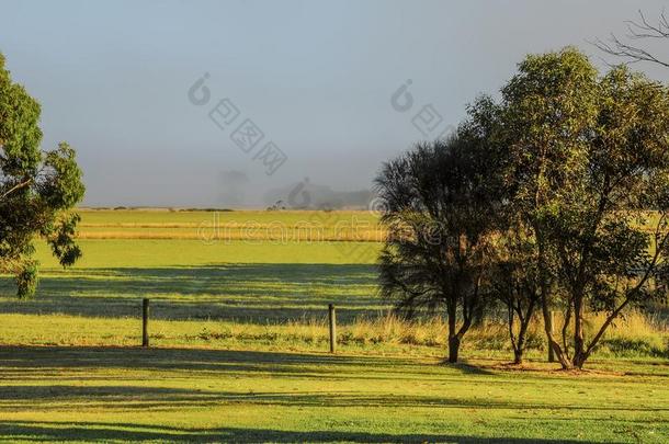 瓦尔南波尔.澳大利亚人和平的海岸.多雾的早晨.
