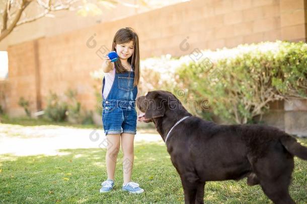 甜的小的女孩佃户租种的土地蓝色球演奏和宠物狗