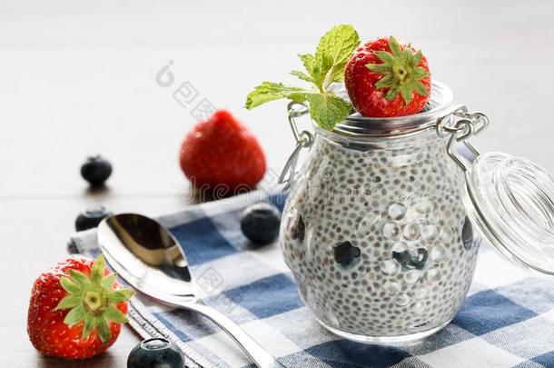 芡欧鼠尾草种子甜食和浆果