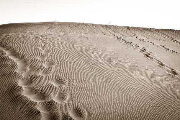 人脚步采用沙漠沙丘