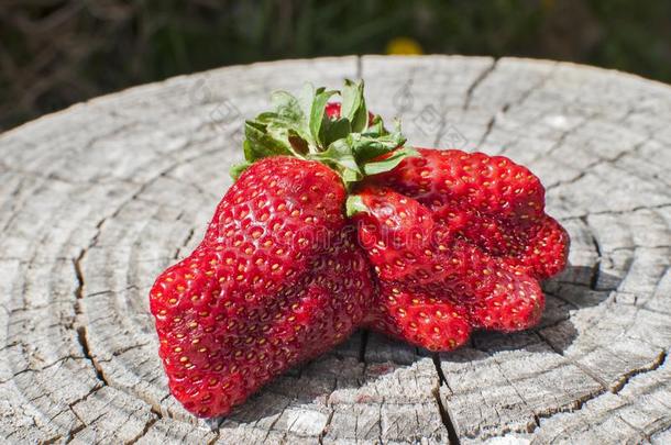 一大的红色的草莓和陌生的形状