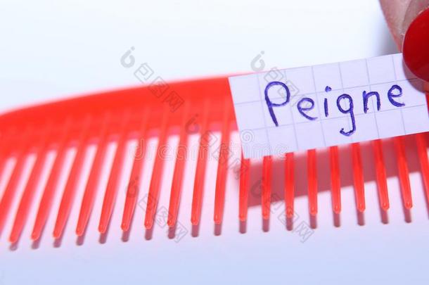 Peigne单词采用法国的为梳子采用英语