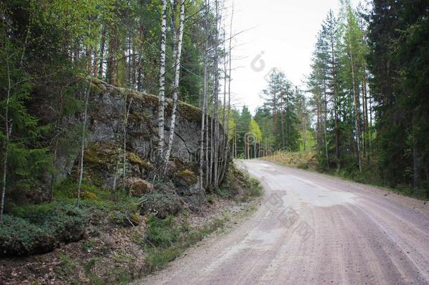 芬兰的北欧人自然,森林,芬兰