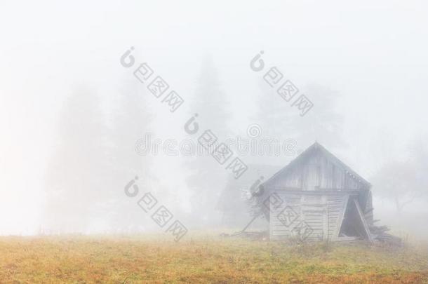宏伟的风景和木制的房屋树采用秋多雾的人名