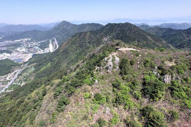 乔尔朱克王国的杜鹃花花盛开的采用比欧姆Mounta采用采用茶