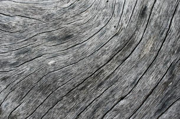 风化的木材质地特写镜头照片.苍白的灰色的木材背景.