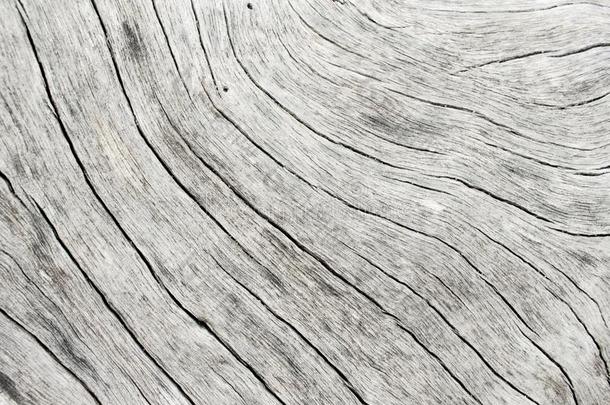 灰色的木材质地特写镜头照片.白色的和灰色的木材背景.