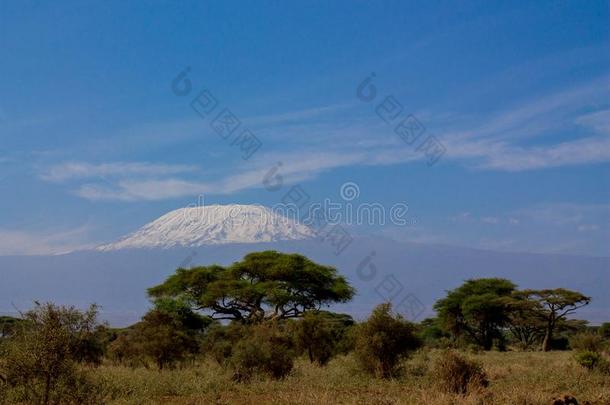 乞力马扎罗山最高的山采用非洲