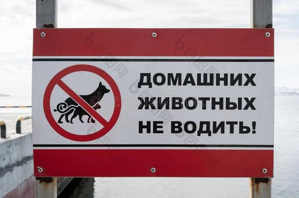 海报采用俄国的:aux.构成疑问句和否定句不驾驶动物照片!