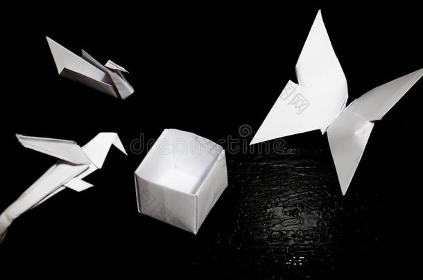 折纸手工可折叠的纸,纸吊车,鹦鹉,蝴蝶和一盒
