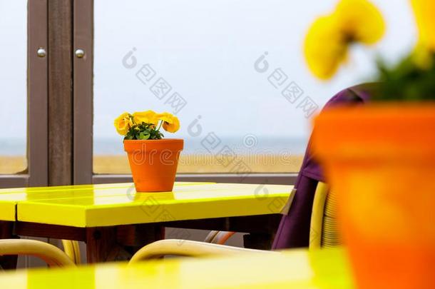 表咖啡馆海滩海花装饰瓶桔子黄色的红色的白色的拉文德